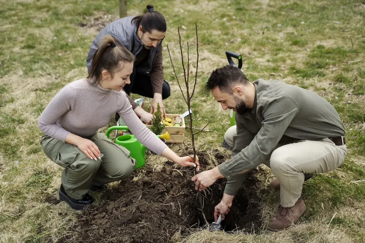 Trzy osoby uczą się, jak sadzić drzewka owocowe, kopiąc dołek i umieszczając młode drzewko w ziemi.