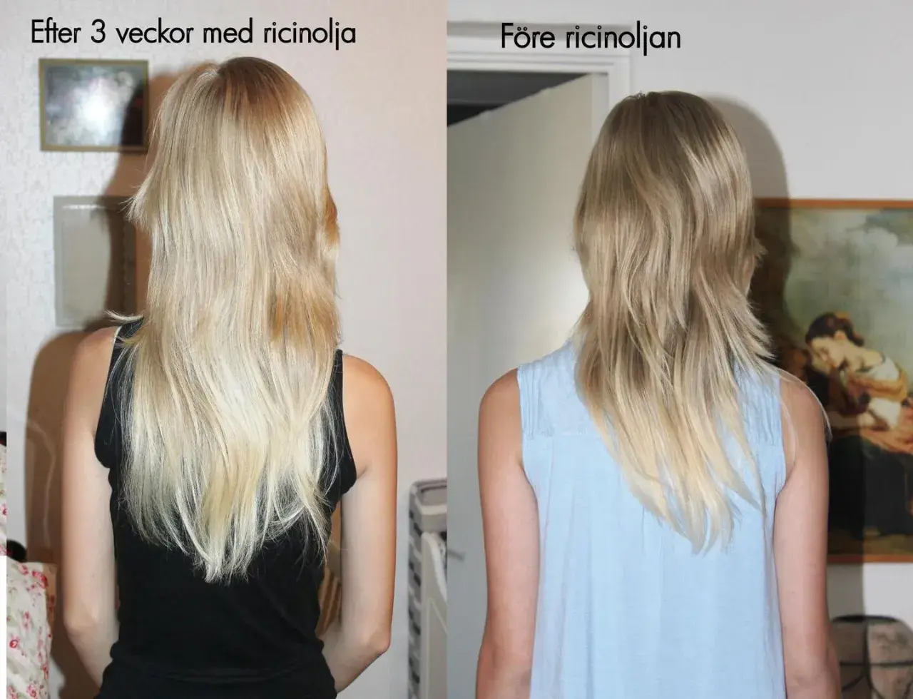 Före och efterbilder på blont hår. Till vänster, efter 3 veckor med ricinolja, ser håret fylligare ut. Till höger, före behandlingen.