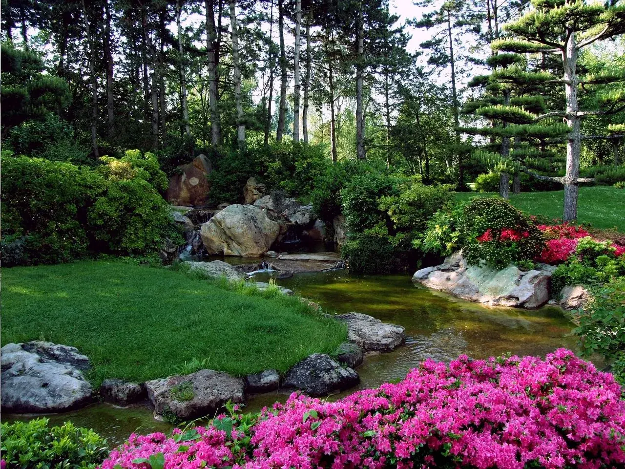 Ein idyllischer japanischer Garten mit einem Teich, üppigem Grün, Felsen und leuchtend pinken Azaleen.