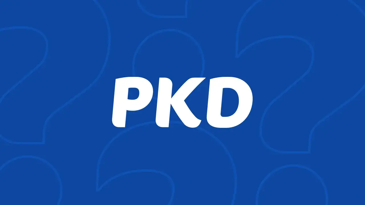 Jak dodać PKD przez internet - uniknij błędów i zrób to łatwo