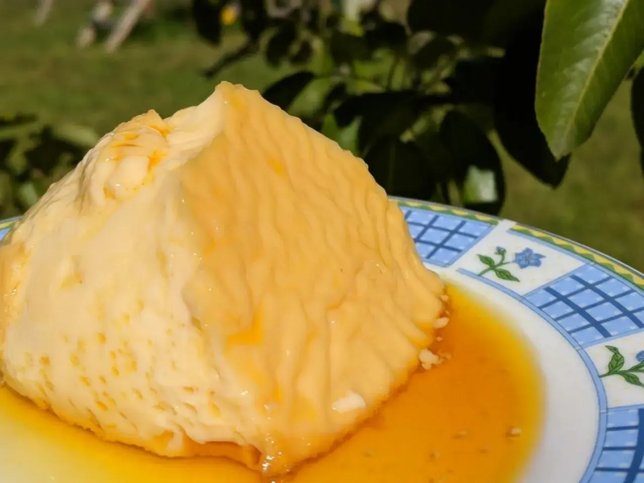 Delicioso flan de huevo sin azúcar, con su caramelo dorado, servido en un plato con diseño floral.