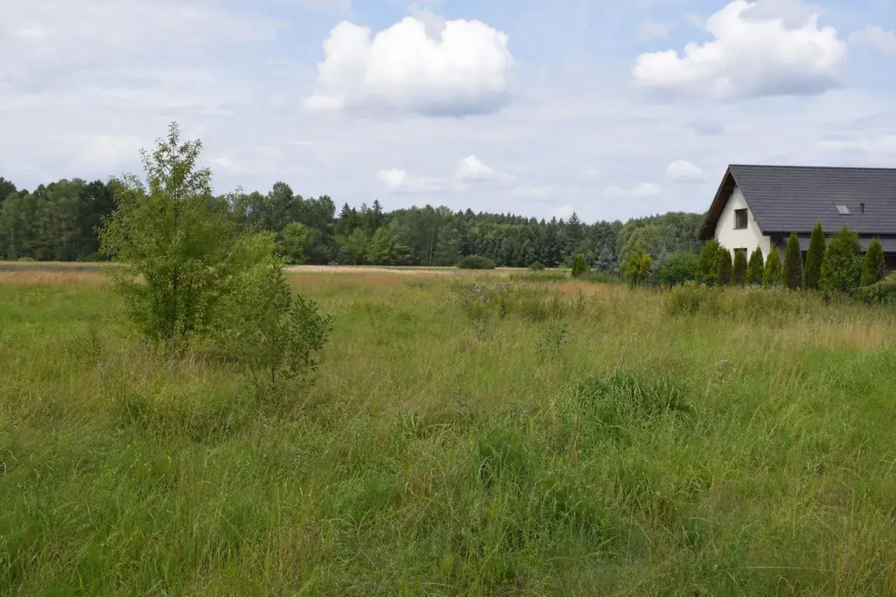 Łąka z domem w tle, idealna pod budowę. Warunki zabudowy 2026 sprzyjają inwestycjom w tej spokojnej okolicy.