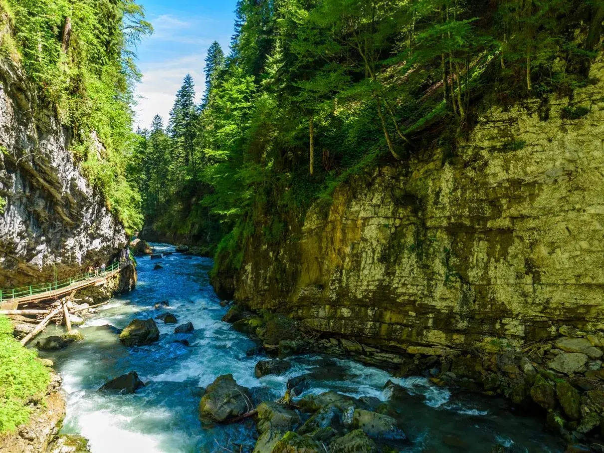 Wilder Fluss schlängelt sich durch eine Schlucht mit steilen Felswänden und üppigem Grün. Ein Holzsteg führt entlang des Wassers. Ein wahres Naturwunder Deutschlands.