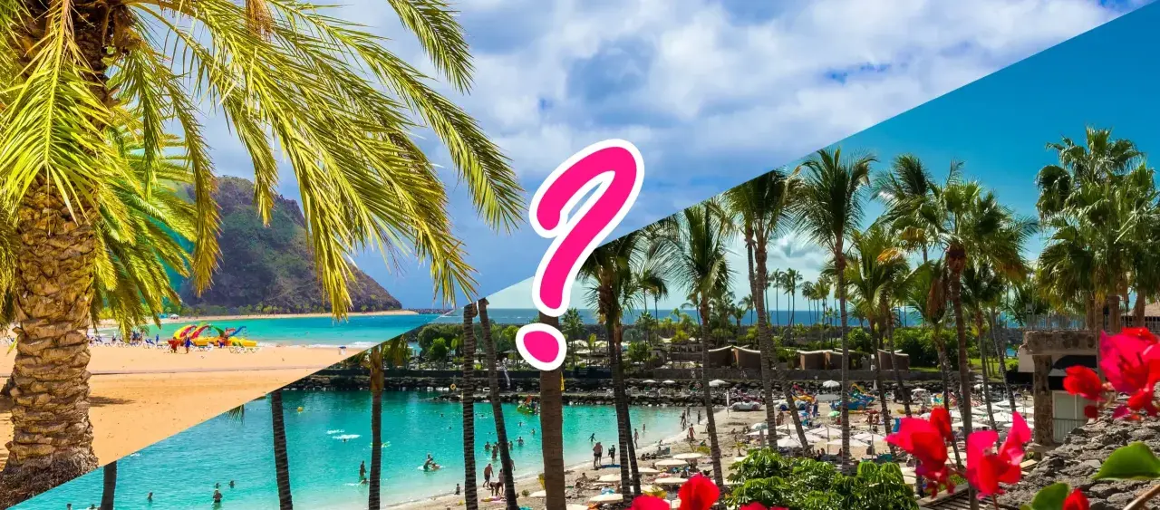 Traumstrände mit Palmen: Teneriffa oder Gran Canaria? Ein Fragezeichen trennt die sonnigen Ansichten.