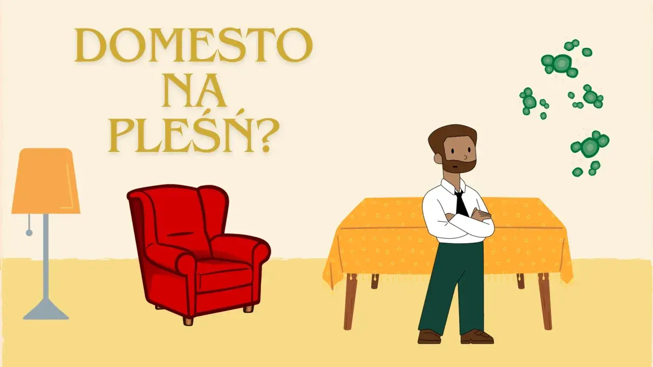Mężczyzna patrzy na zieloną pleśń na ścianie. Czy Domestos na pleśń to rozwiązanie?