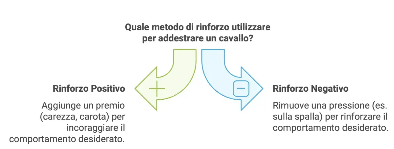 Diagramma che illustra rinforzo positivo (premio) e negativo (rimozione pressione) per addestrare un cavallo.
