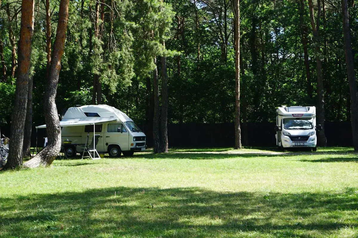 Dwa kampery zaparkowane na trawie w lesie, jakby zatrzymały się na chwilę przed dalszą podróżą, może w poszukiwaniu malowniczego przełomu rzecznego.