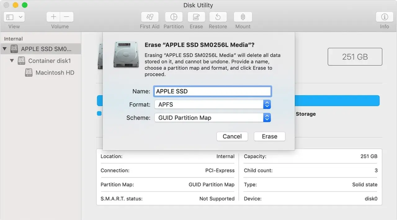 Festplatte "APPLE SSD" wird gelöscht. Hier werden Mac Laufwerke angezeigt und formatiert.