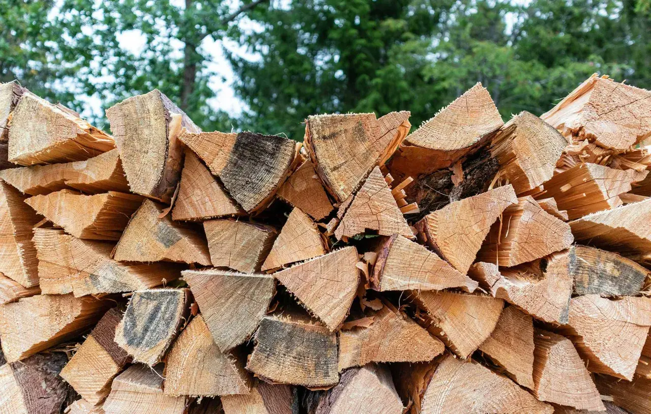 Stapel gespaltenes Holz, bereit für den Winter. Der hohe Brennwert von Walnussholz macht es zu einer beliebten Wahl für Kamine.