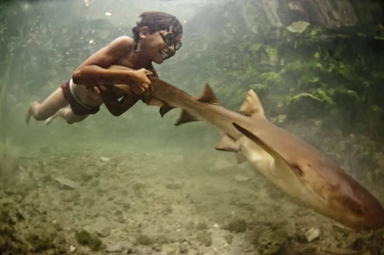 Un bambino del popolo Bajau, con occhiali da sub, nuota sorridendo accanto a uno squalo.