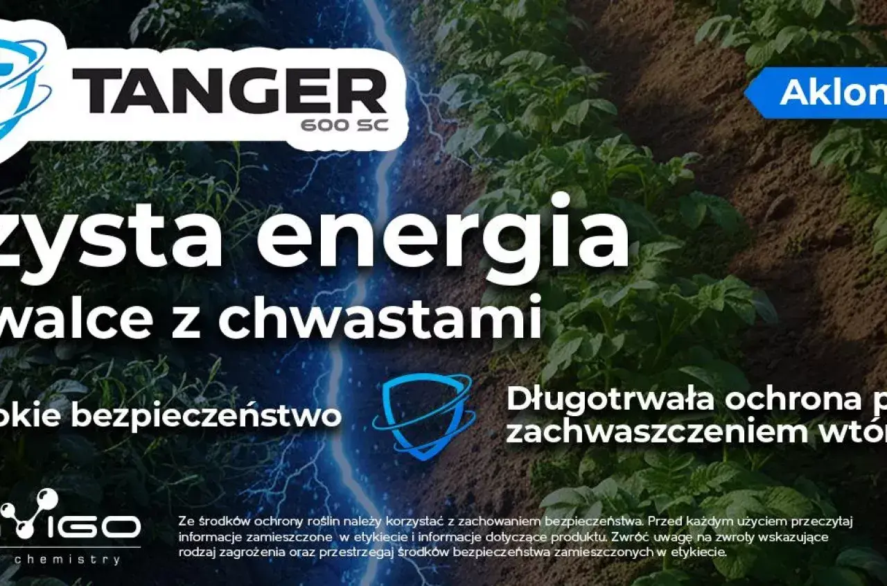 Aklonifen - czysta energia w walce z chwastami. Długotrwała ochrona roślin przed zachwaszczeniem wtórnym.