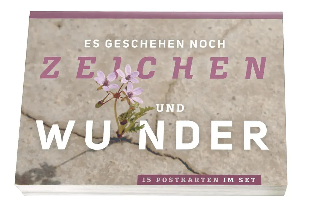 Ein zartes Blümchen bricht durch Beton. "Es geschehen noch Zeichen und Wunder", steht darauf. 15 Postkarten im Set.