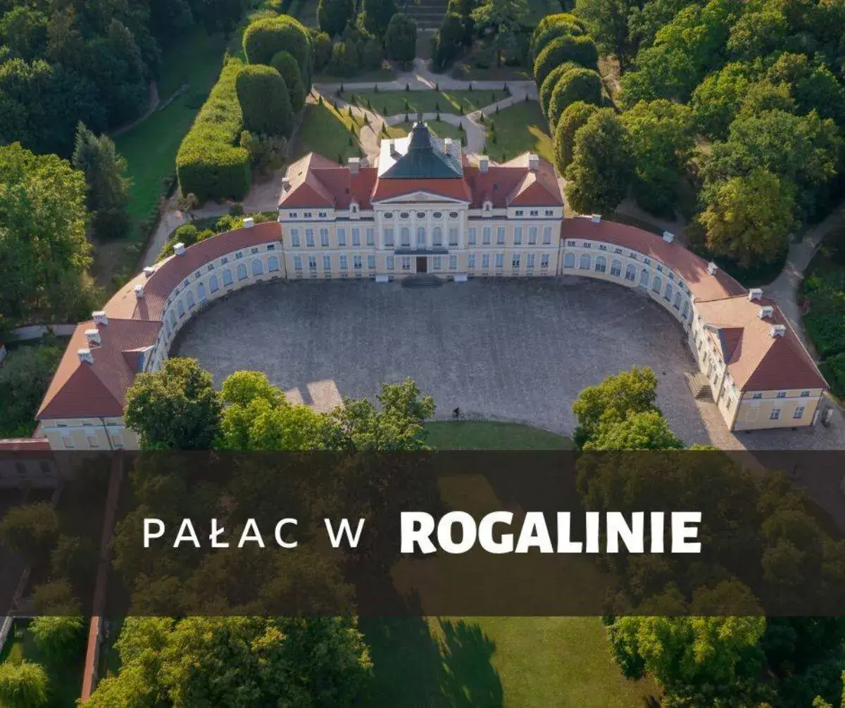 Rogalin atrakcje, które zaskoczą każdego odwiedzającego to miejsce