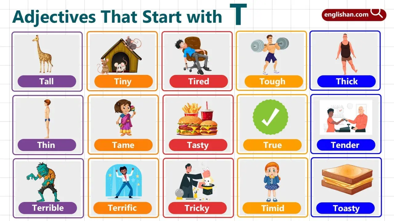 Aggettivi con la T: Tall, Tiny, Tired, Tough, Thick, Thin, Tame, Tasty, True, Tender, Terrible, Terrific, Tricky, Timid, Toasty.