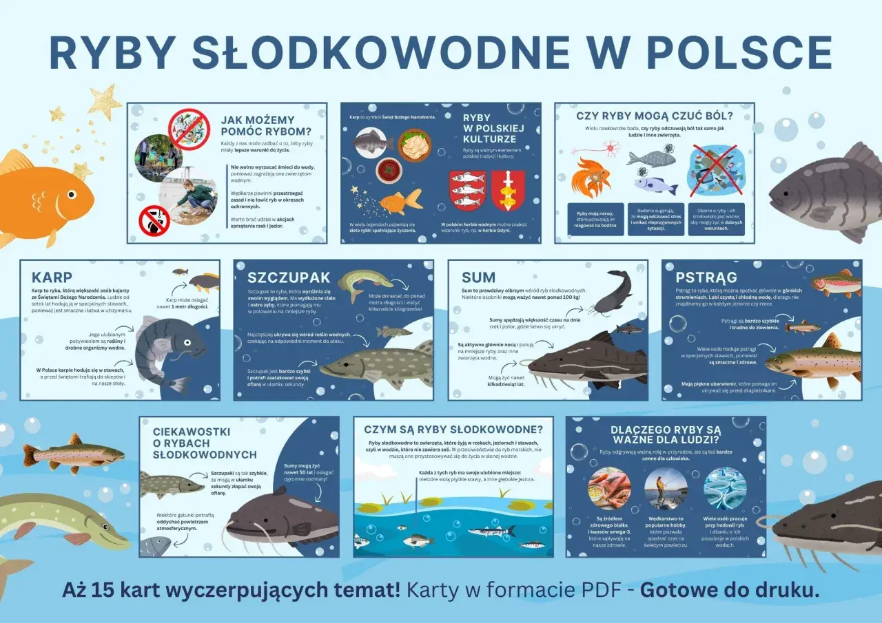 Ilustracja przedstawia różnorodne ryby słodkowodne w Polsce, ich cechy, znaczenie w kulturze i przyrodzie.