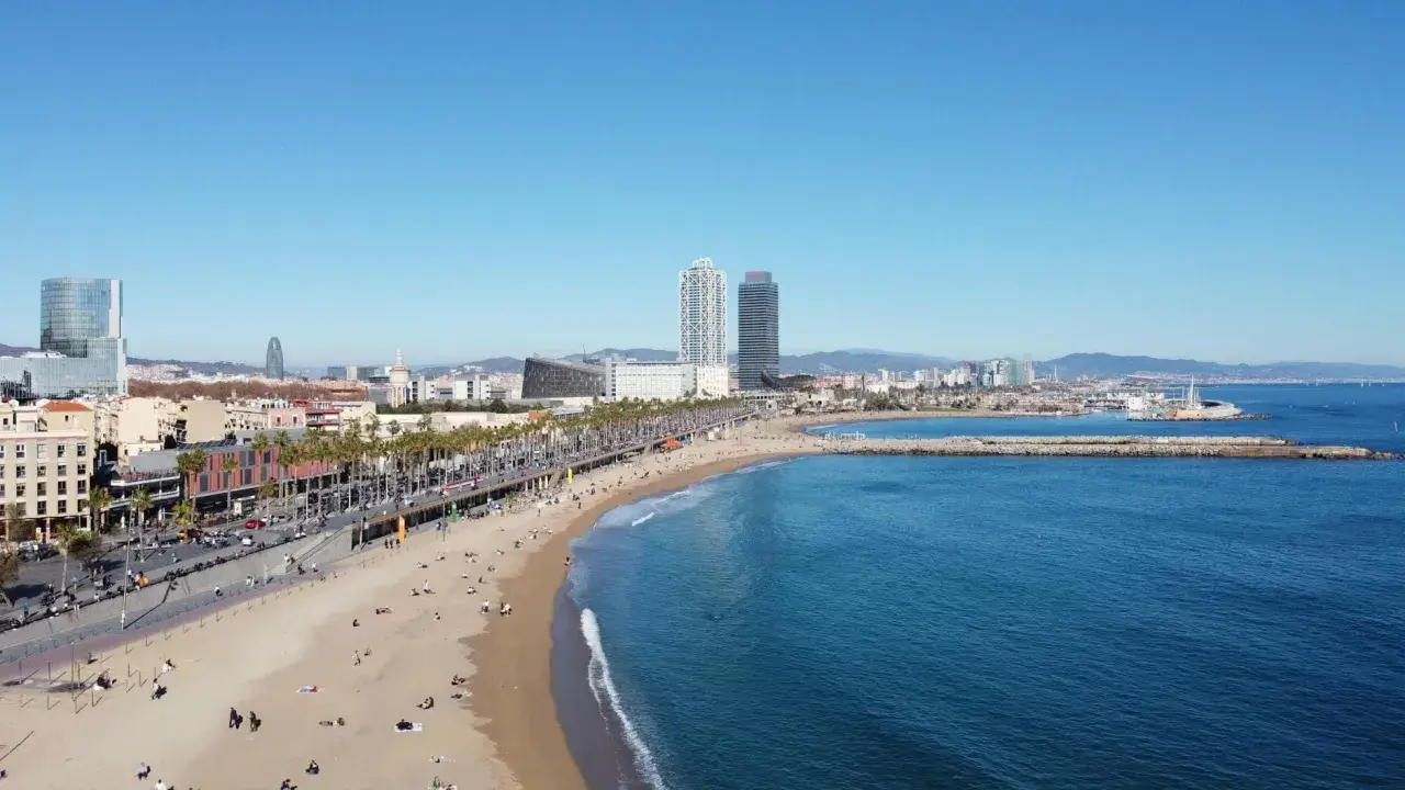 Słoneczna plaża Barceloneta z turkusową wodą, palmami i nowoczesnymi budynkami w tle.