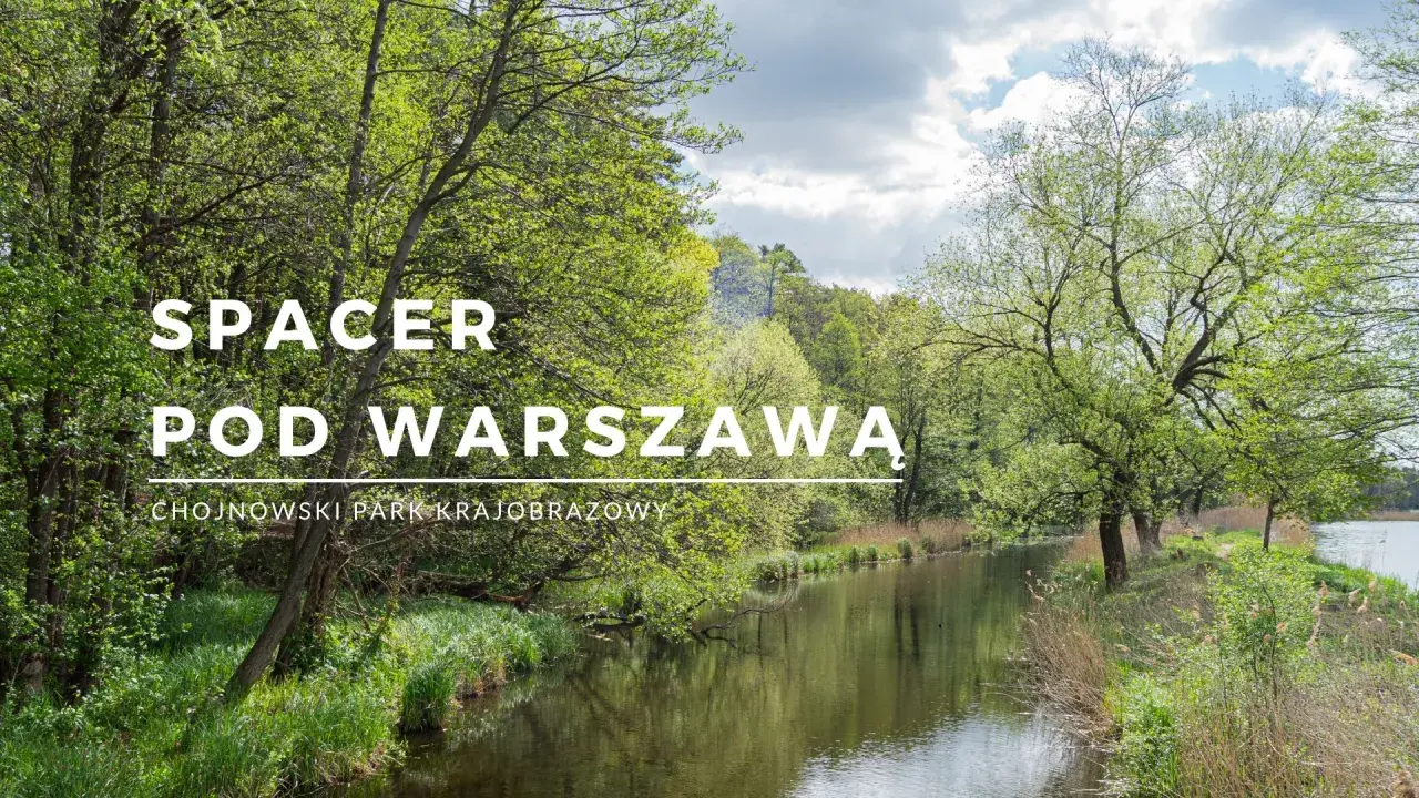 Zielony krajobraz nad wodą, idealne miejsce na spacer pod Warszawą. Chojnowski Park Krajobrazowy zaprasza.