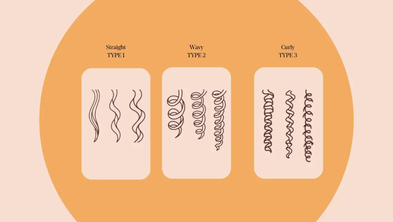 Illustration av hårtyper: rakt (typ 1), vågigt (typ 2) och lockigt (typ 3). Perfekt för att förstå curly girl method.