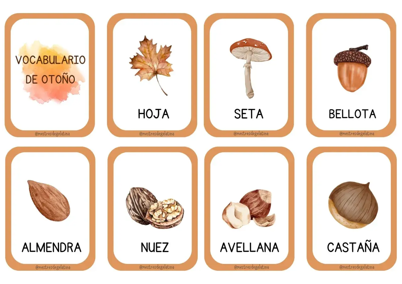 Tarjetas con vocabulario de otoño: hoja, seta, bellota, almendra, nuez, avellana y castaña.