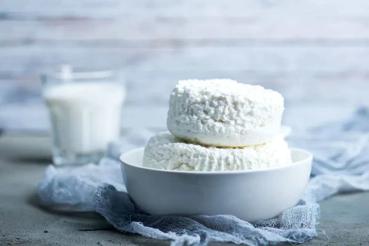 Due forme di ricotta fresca in una ciotola bianca, con un bicchiere di latte sullo sfondo. La ricotta si può congelare per conservarla più a lungo.