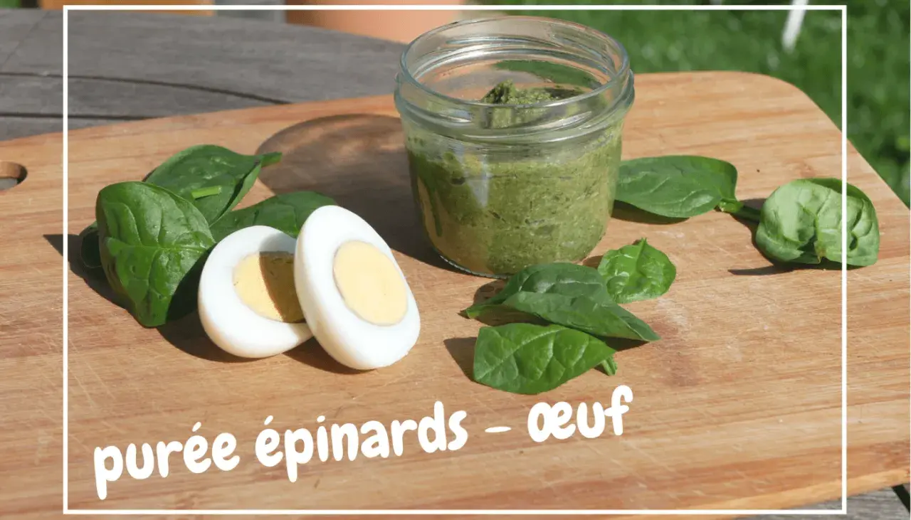 Purée d'épinards et œuf dur, une recette idéale pour un bébé de 6 mois.