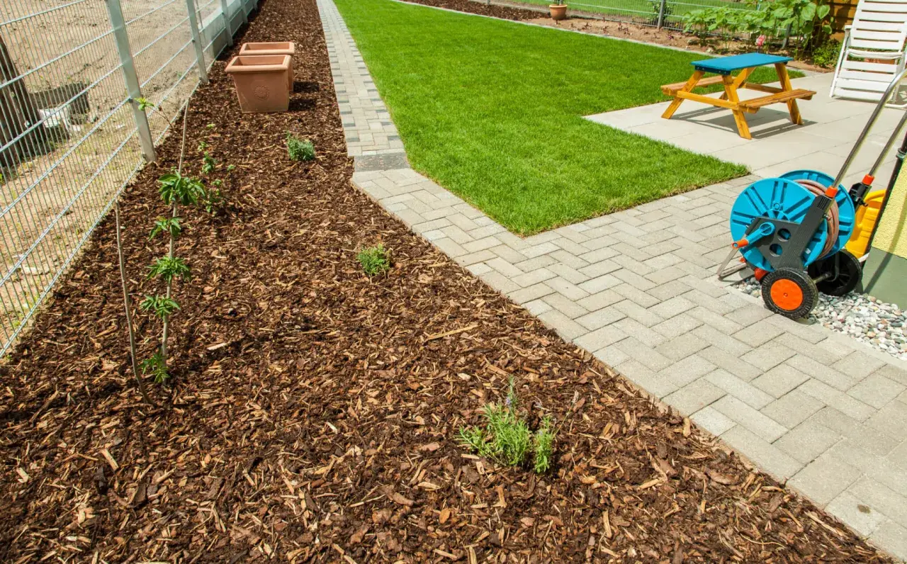 Gepflegter Garten mit frisch gemulchtem Beet, das trotz vereinzelten Unkräutern gut aussieht. Rasen mulchen ist hier die Devise.