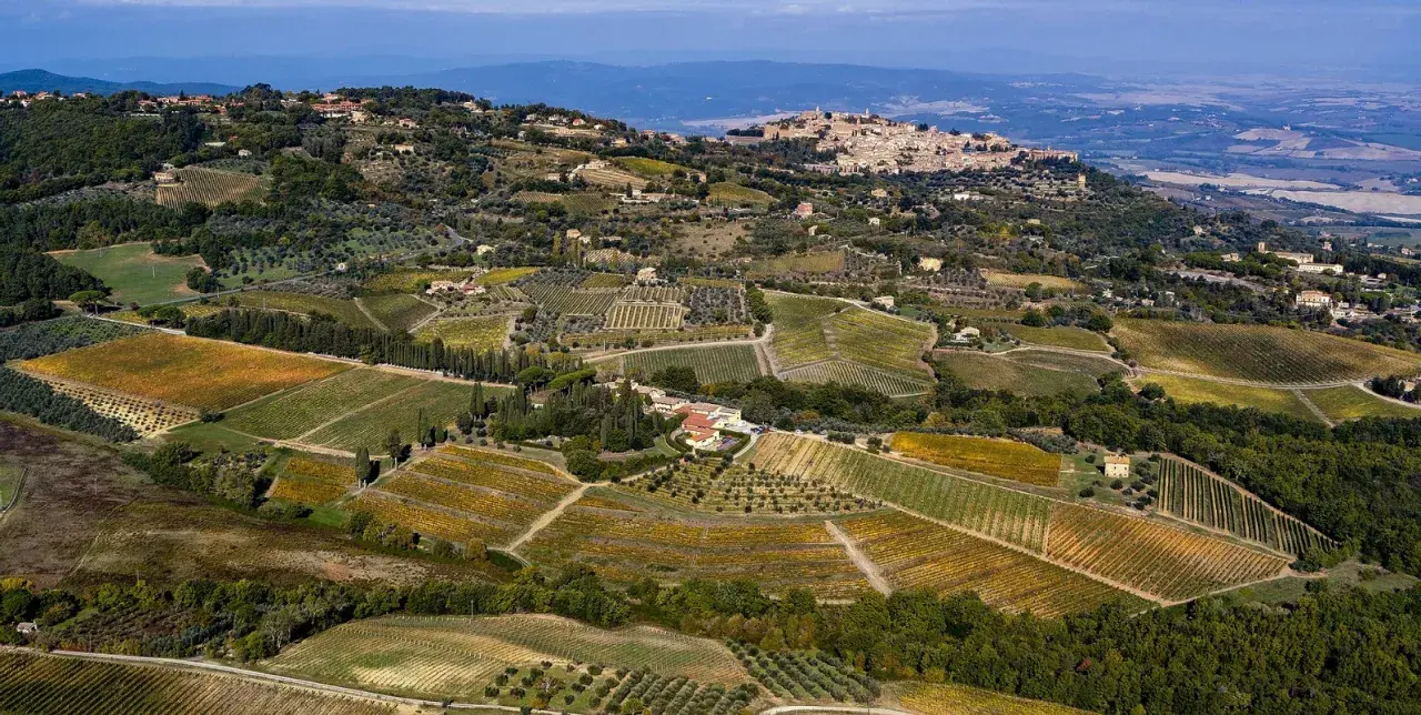 Paesaggio toscano con vigneti e uliveti, ideale per una degustazione Biondi Santi.