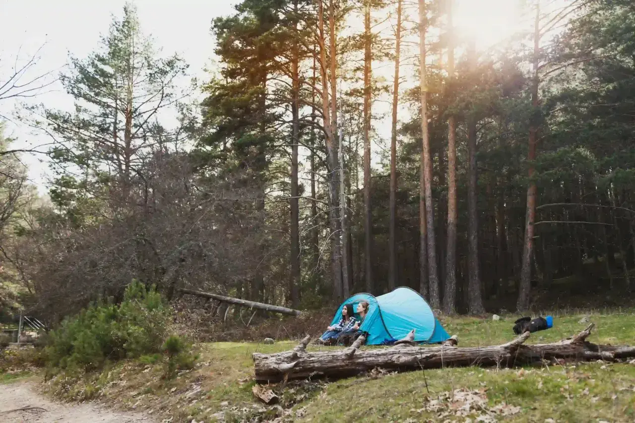 Deux jeunes femmes profitent d'un moment de **camping sauvage en Allemagne**, blotties dans leur tente bleue au milieu d'une forêt de pins ensoleillée.