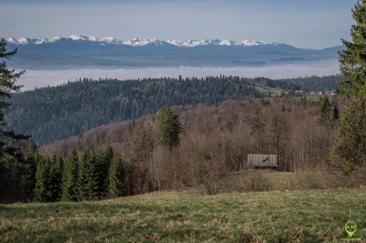 Widok na góry z mgłą w dolinie. W oddali ośnieżone szczyty. Na pierwszym planie las i drewniana wiata, która może być początkiem najkrótszego szlaku na Turbacz.