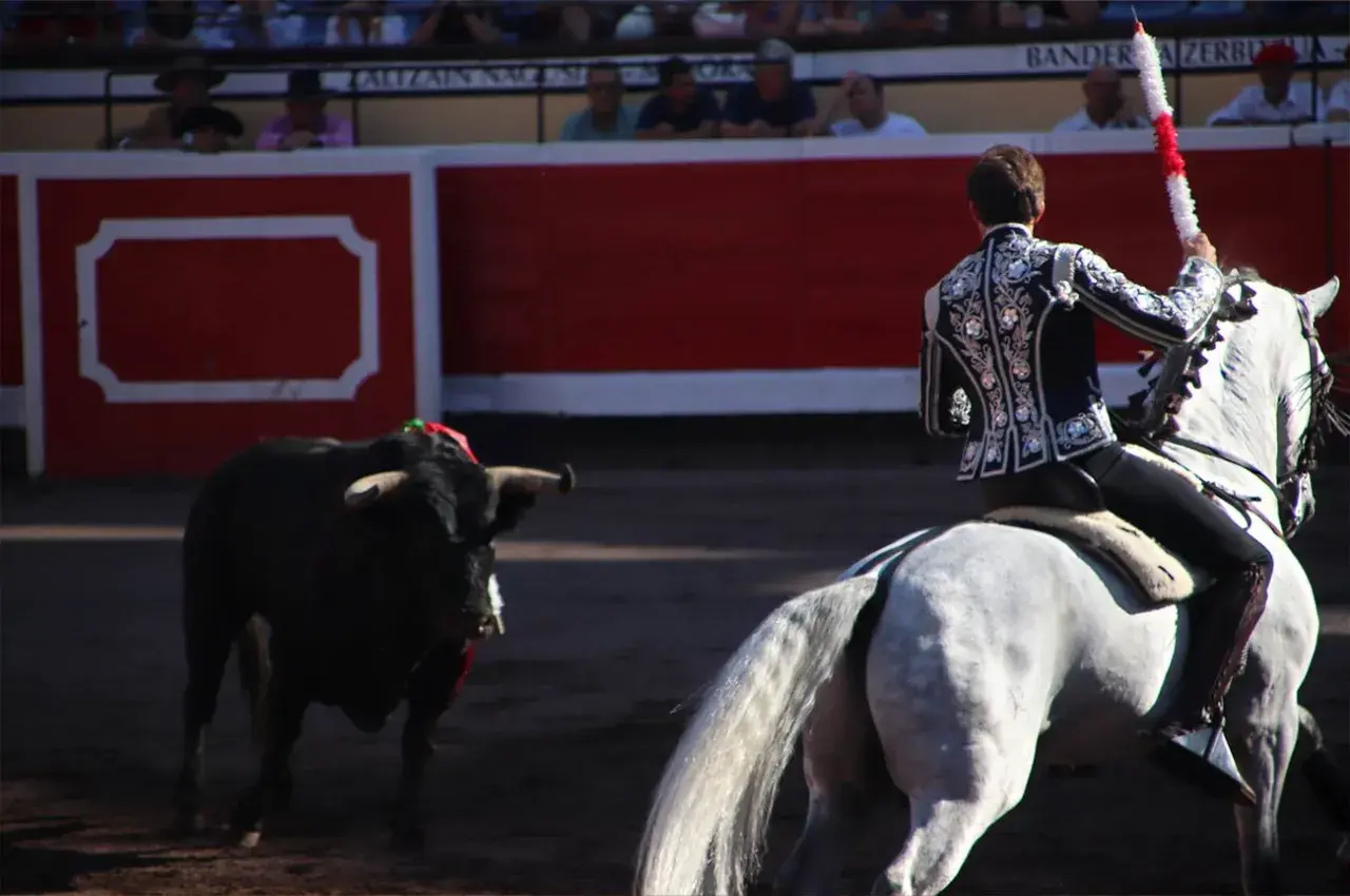 Un torero a caballo se prepara para el lance. El toro, con adornos en la cabeza, espera en la arena. El tendido alto las ventas, lleno de público, observa expectante.