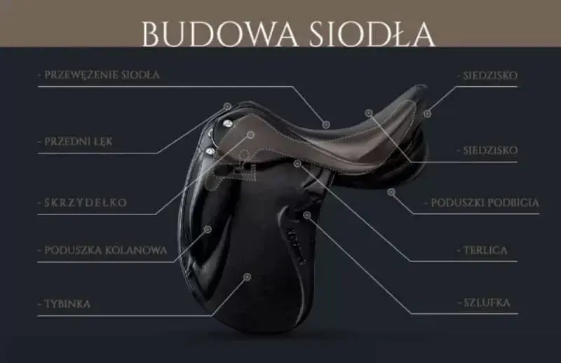 Z czego składa się siodło? Kluczowe elementy, które musisz znać