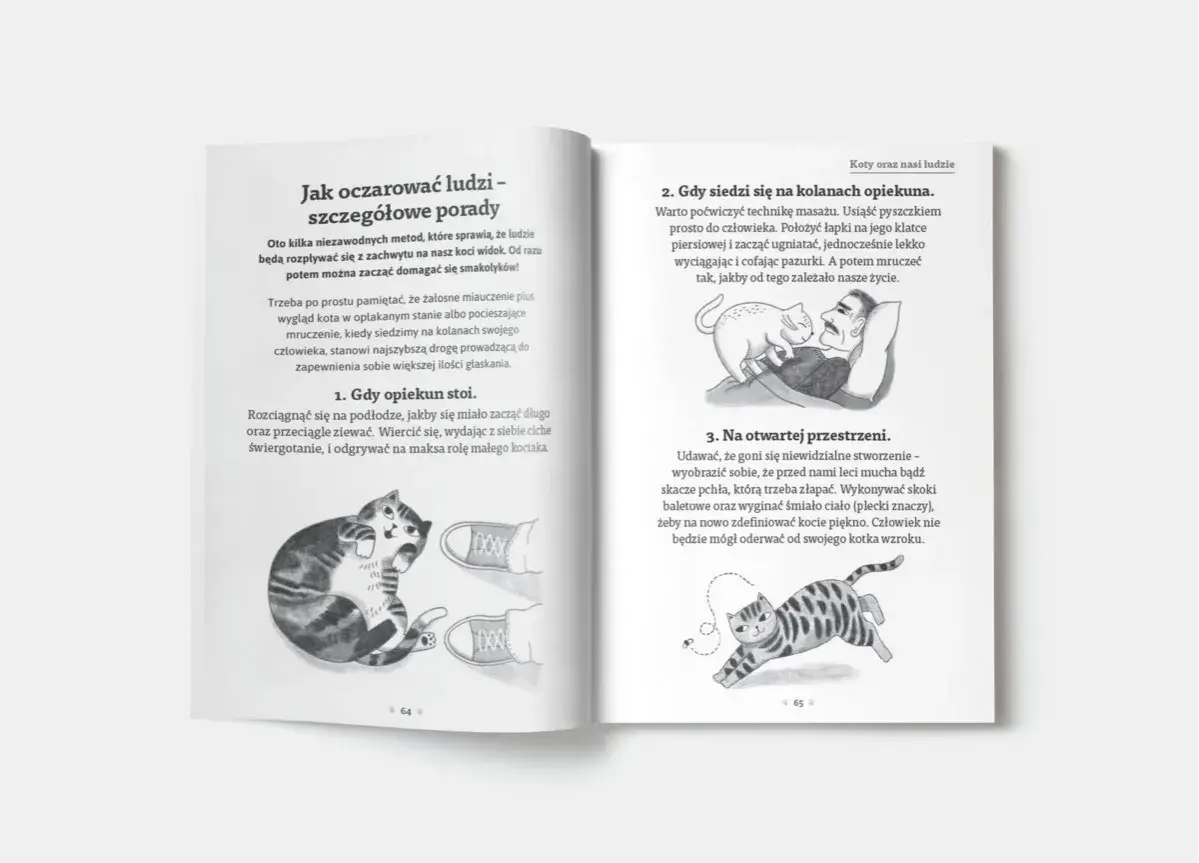 Ilustracje kotów: jeden leży obok butów, drugi masuje człowieka, trzeci goni muchę.