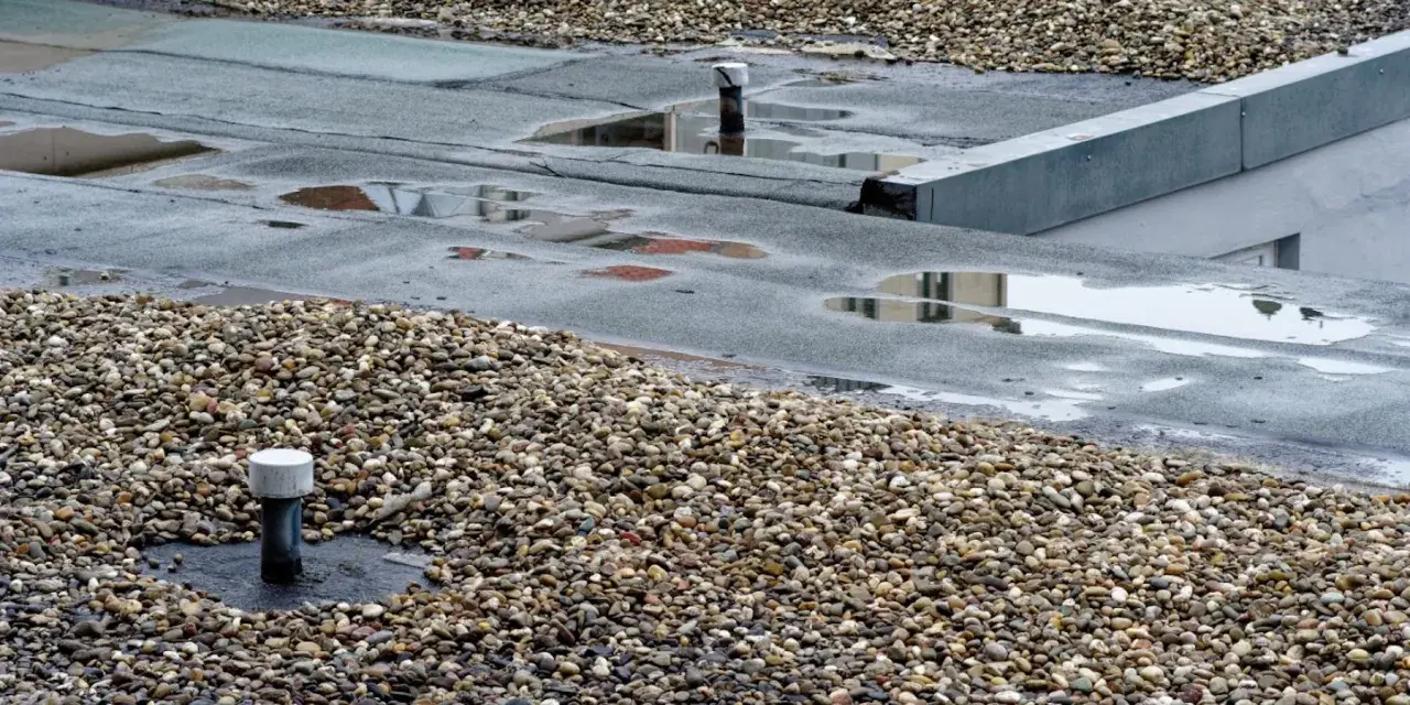 Ein undichtes Flachdach mit stehendem Wasser und Kies. Feuchtigkeit kann zu Schimmelbildung führen.
