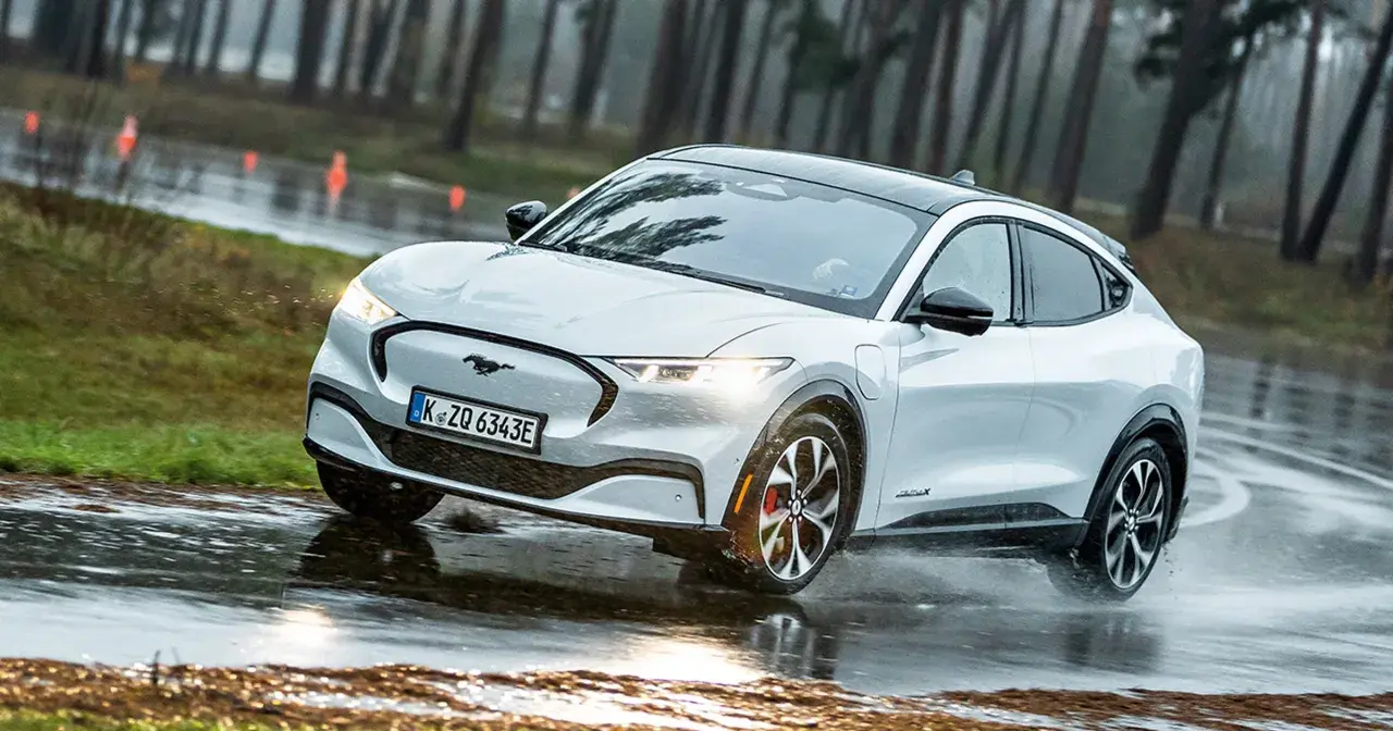 Biały Mustang Mach-E pokonuje kałuże na mokrej drodze, otoczony lasem.