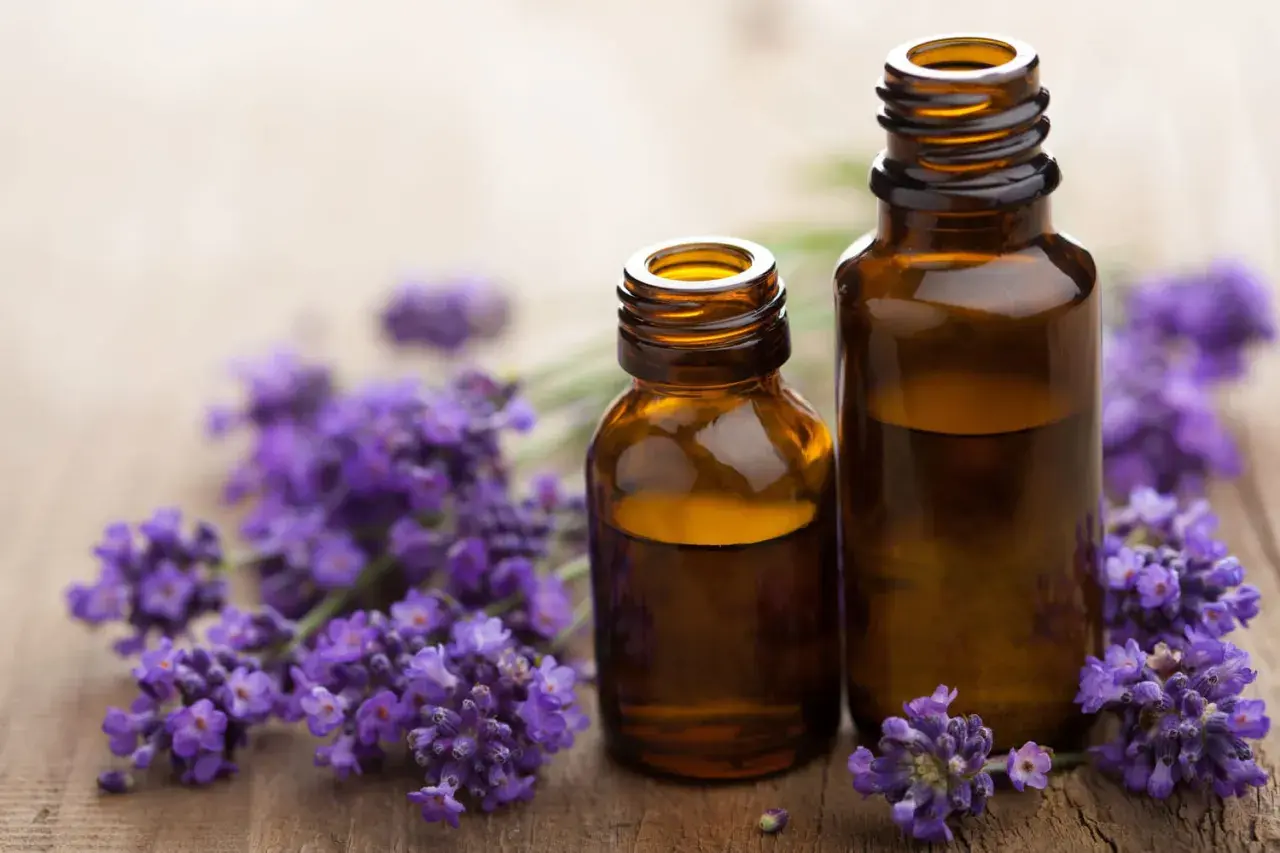 Deux flacons d'huile essentielle de lavande officinale, entourés de fleurs de lavande, évoquant ses nombreux bienfaits relaxants et apaisants.