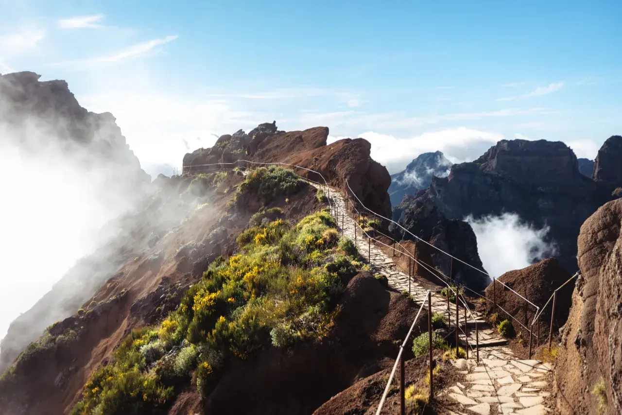 A stone path winds through rugged, misty mountains, dotted with yellow wildflowers. This is the best hike in Madeira, offering breathtaking views.