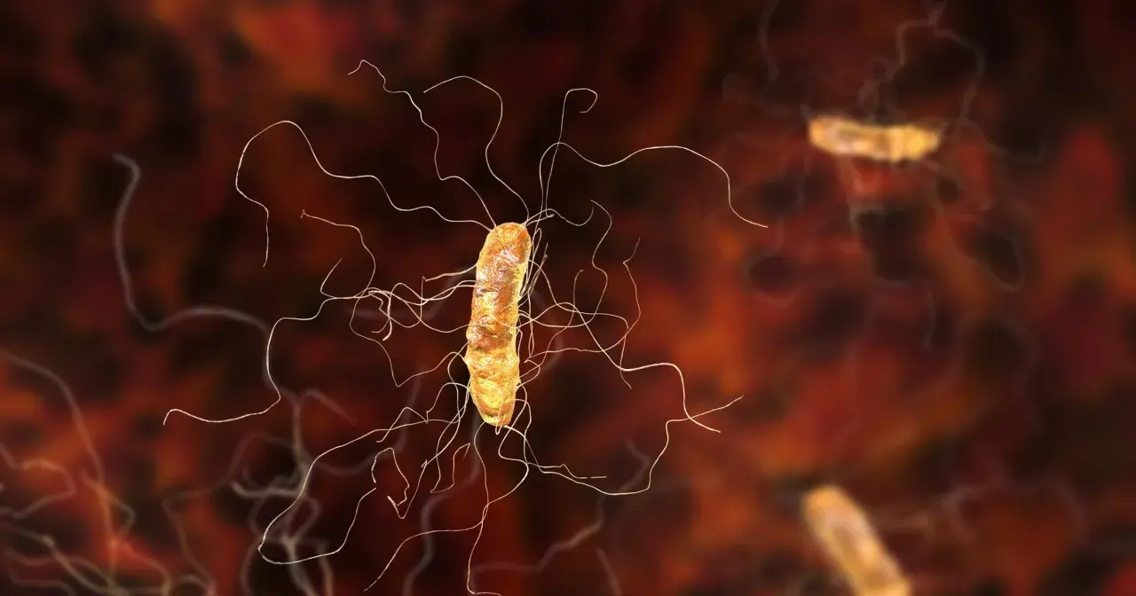 Bakteria clostridium z licznymi wiciami, poruszająca się w środowisku.