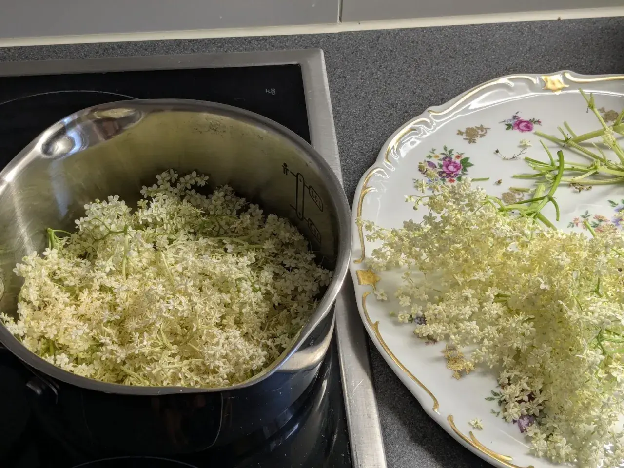 Fleurs de sureau dans une casserole et sur une assiette décorée, prêtes pour faire du sirop de sureau.