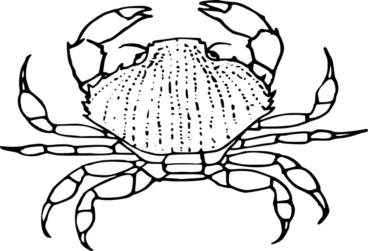 Un dibujo de cangrejo para colorear, listo para llenarlo de vida y color.