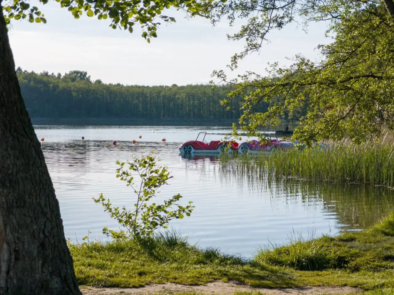 Czyste jezioro z łódkami w kształcie samochodów, otoczone zielenią i lasem.