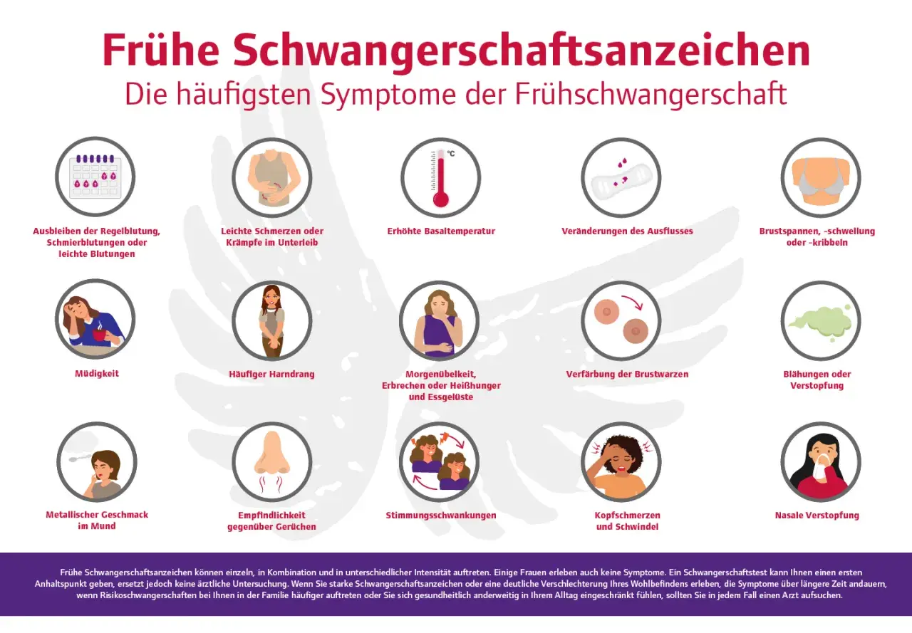 Frühe Schwangerschaftsanzeichen: Müdigkeit, Übelkeit, Brustspannen, veränderter Ausfluss, Kopfschmerzen, Nasenverstopfung, Blähungen, metallischer Geschmack, Empfindlichkeit gegenüber Gerüchen, Stimmungsschwankungen, häufiger Harndrang, leichte Krämpfe...
