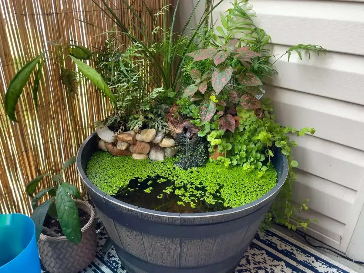 Kleiner Miniteich auf dem Balkon mit üppiger Bepflanzung und einem Wasserfall.