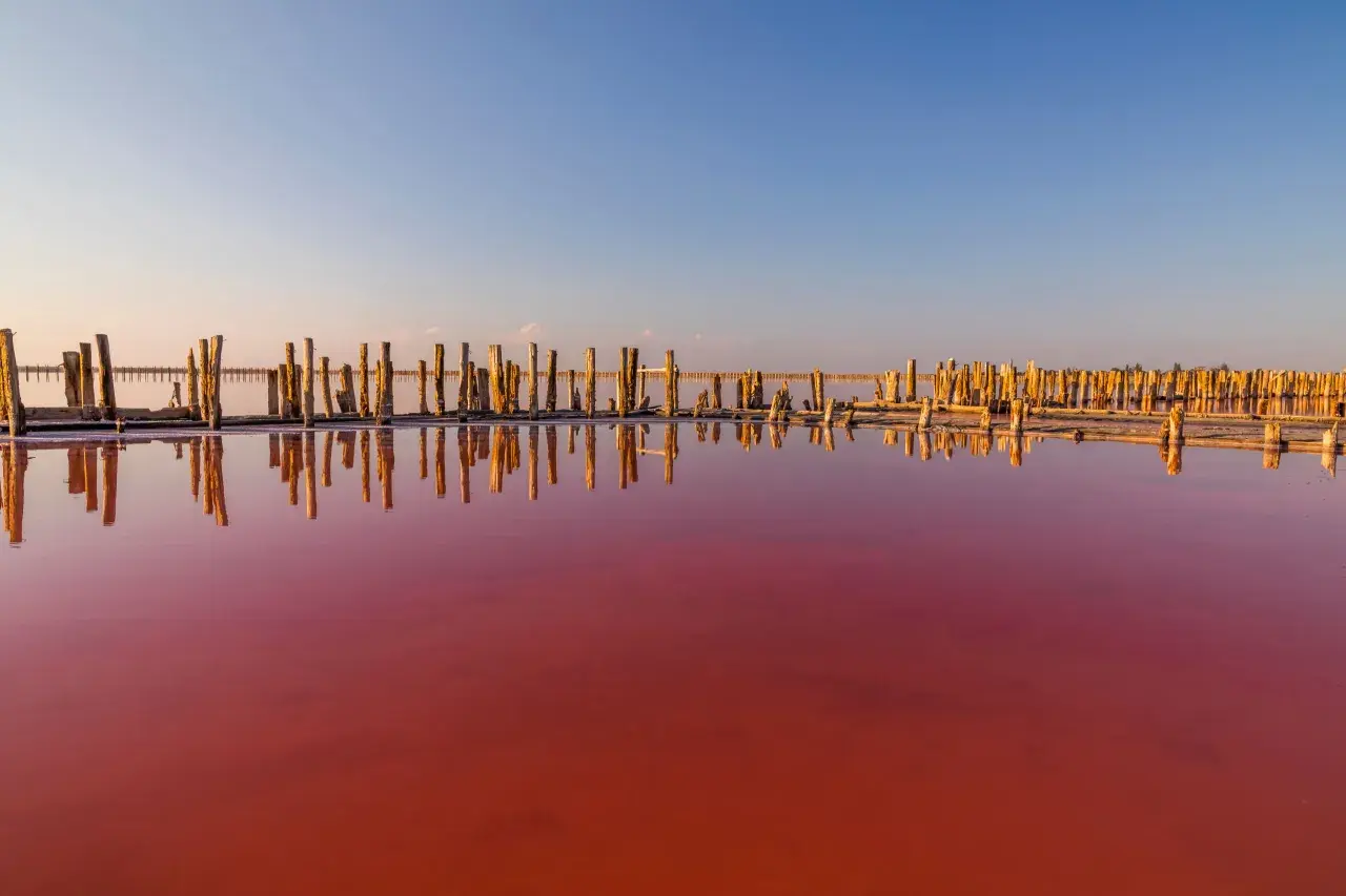 En dagsutflykt från Torrevieja till en rosa sjö med gamla träpålar som speglas i det färgade vattnet.