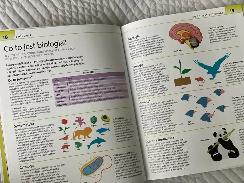 Biologia, chemia, fizyka: Jak je opanować i uczynić prostymi?