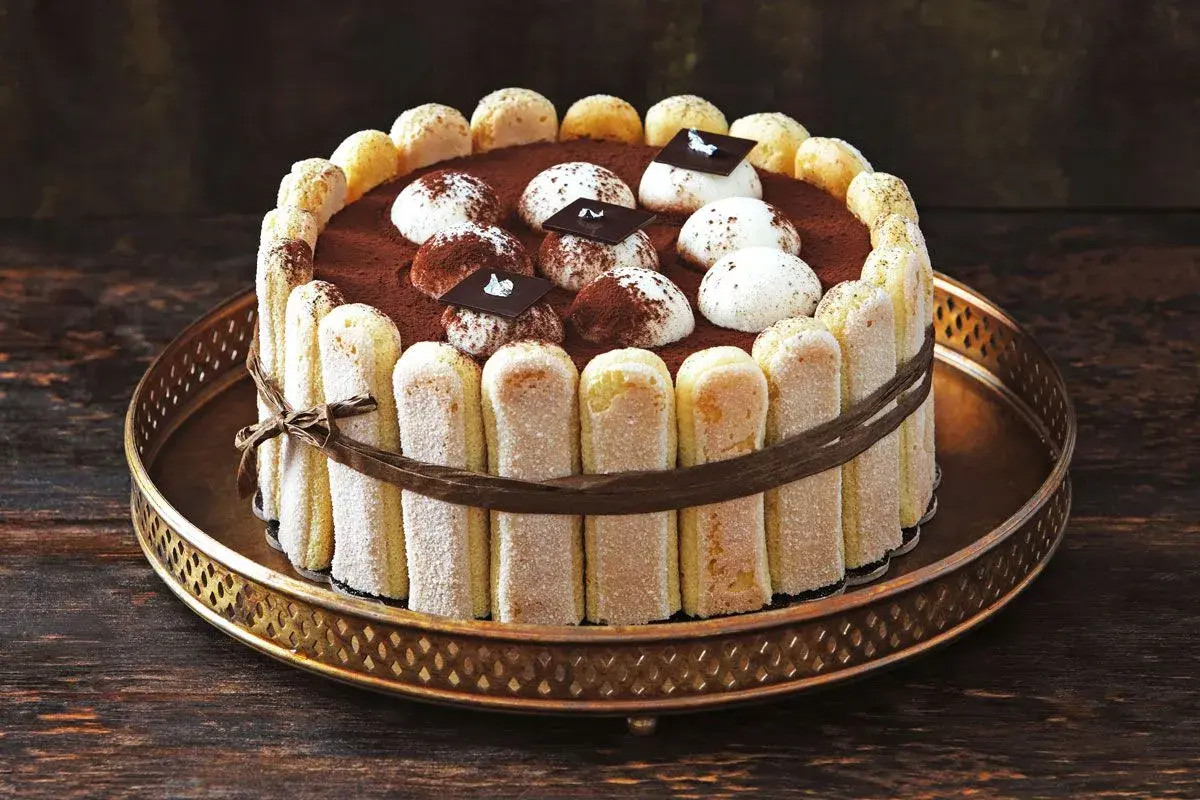 Eine köstliche Tiramisu Torte, umrandet von Löffelbiskuits und verziert mit Kakao und Schokoladenstückchen.