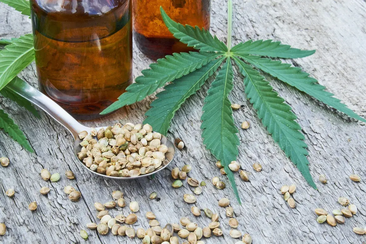 Löffel voller Hanfsamen neben Flaschen mit CBD Hemp Oil und einem grünen Hanfblatt auf Holz.