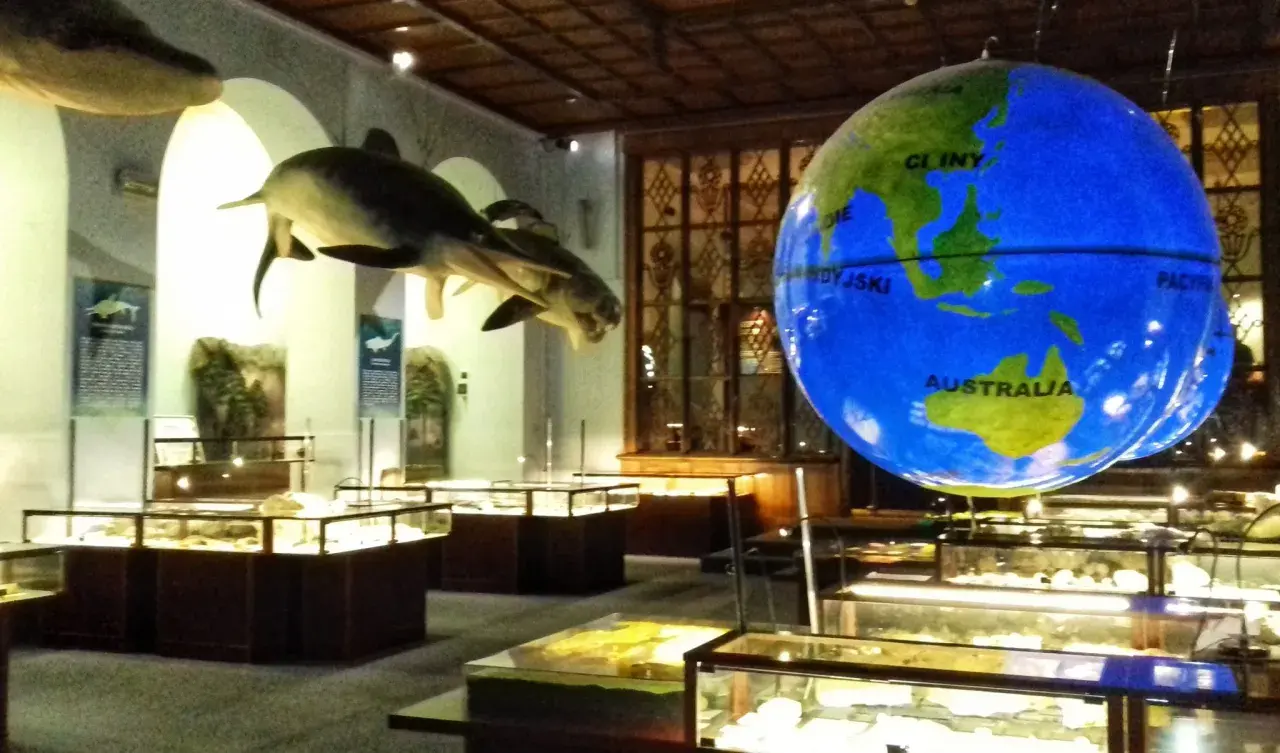W muzeum dinozaurów w Warszawie można podziwiać modele prehistorycznych zwierząt i wielki glob.