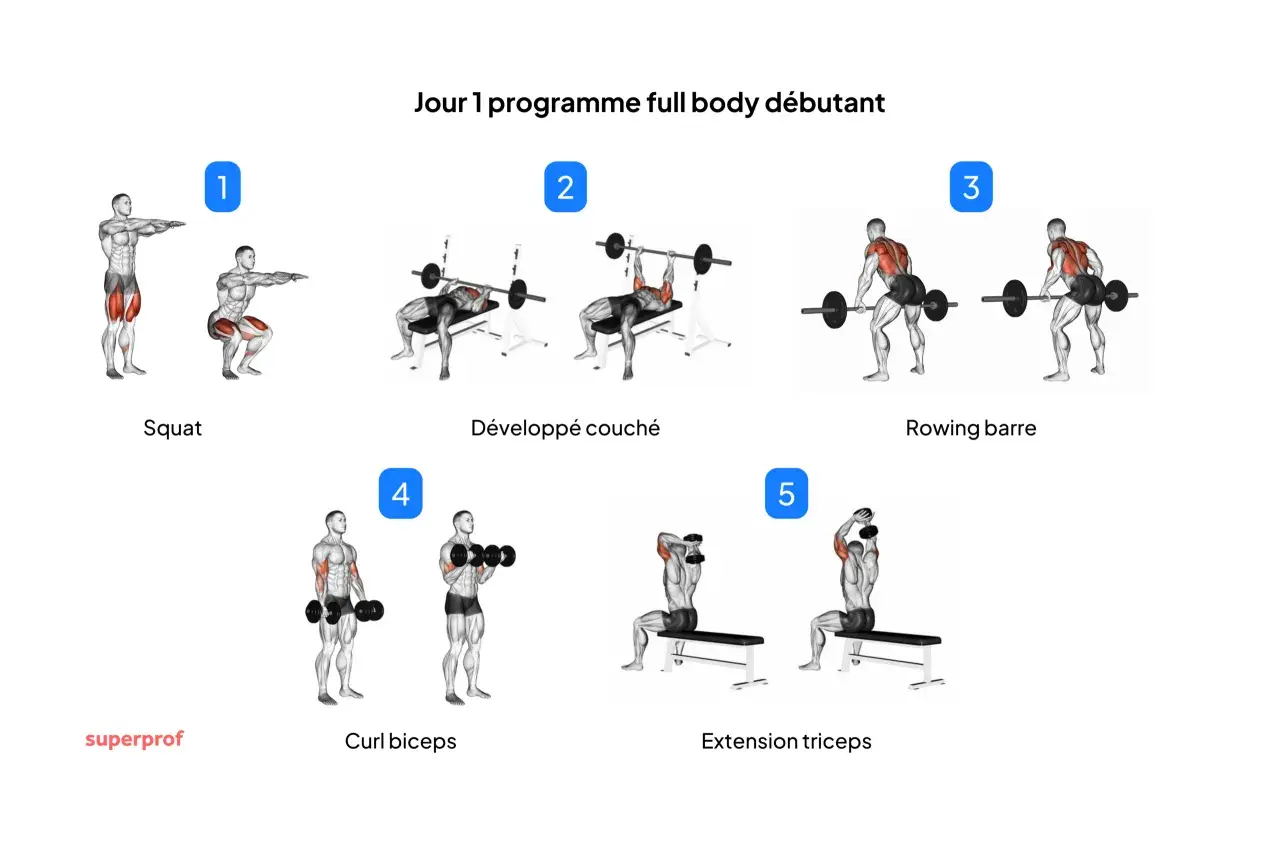 Programme de musculation au poids du corps pour débutants : squats, développé couché, rowing barre, curl biceps, extension triceps.