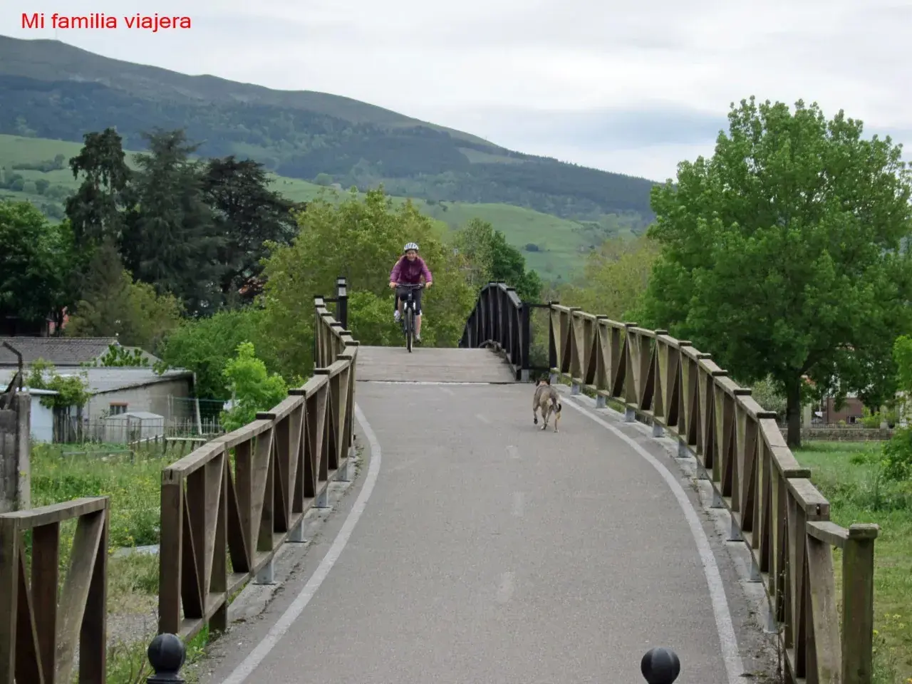 Ciclista y perro disfrutan de la vía verde Cantabria, rodeados de naturaleza y un puente de madera.