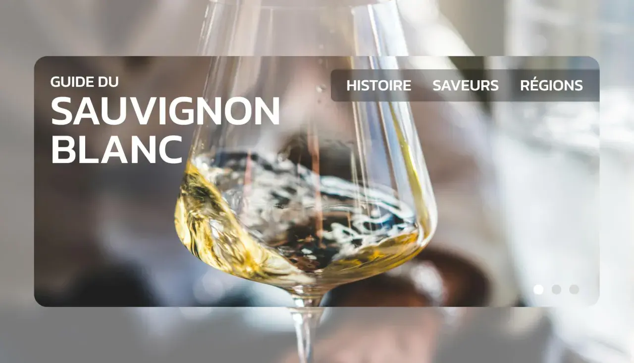 Guide du Sauvignon Blanc : découvrez avec quel plat ce vin se marie parfaitement.